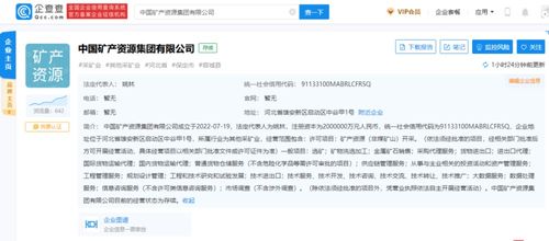 新央企中國礦產資源集團成立 聚焦信息咨詢服務，賦能產業發展
