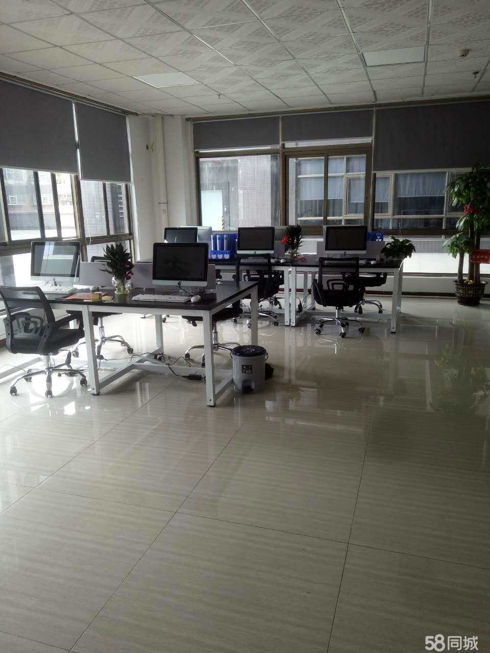 眾力（中山）信息咨詢服務 賦能企業決策的專業橋梁